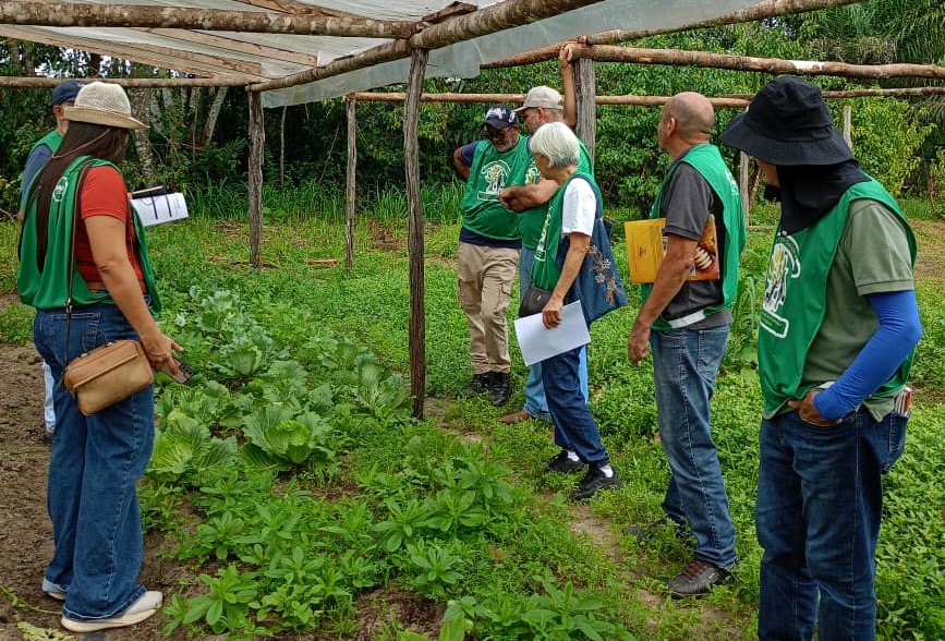 Imagem mostra grupo de pessoas com colete e elaguns com papel na mão, inspecionando plantação de hortaliças