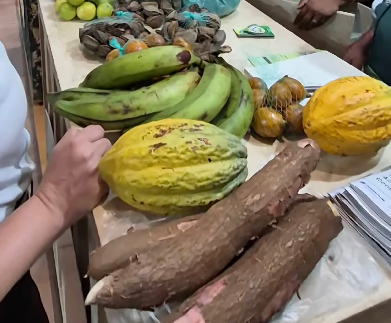 imagem mostra mesa com frutas em exposição: banana, cacau, macaxeira e castanha